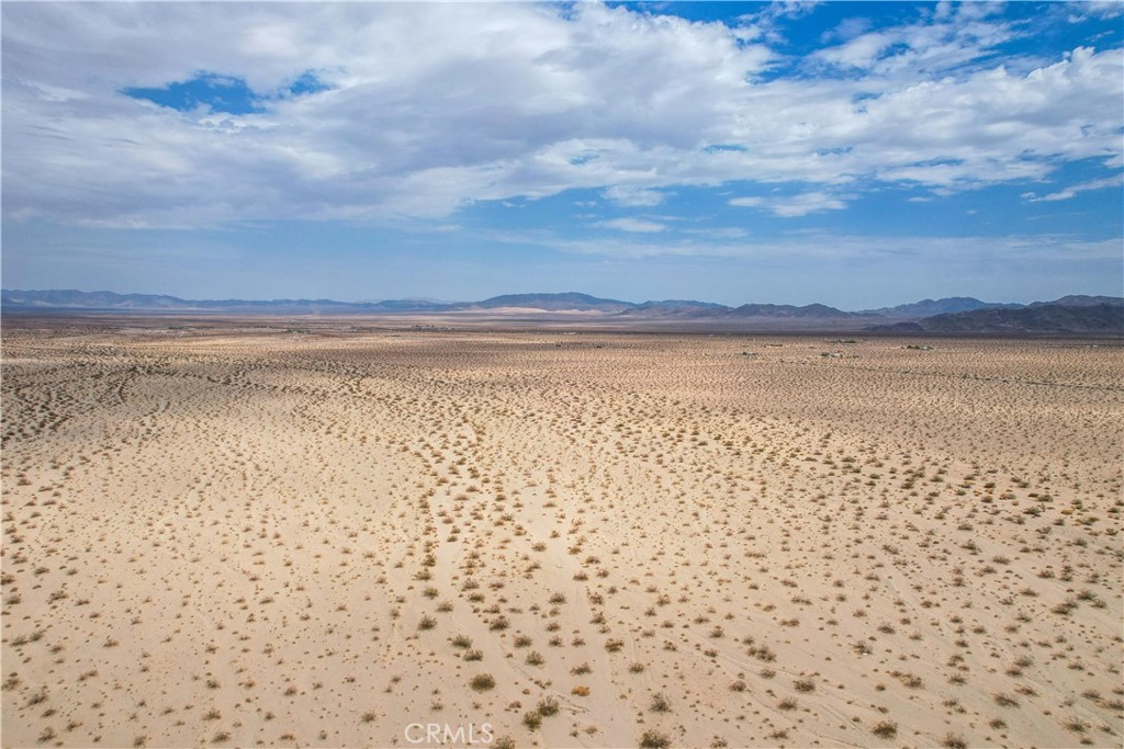 MLS #JT25081343 image #29