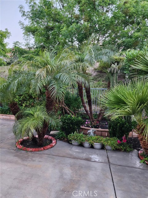 16636 China Berry Court, Chino Hills CA: https://media.crmls.org/medias/ac029139-0584-4185-aab3-c2c804769197.jpg