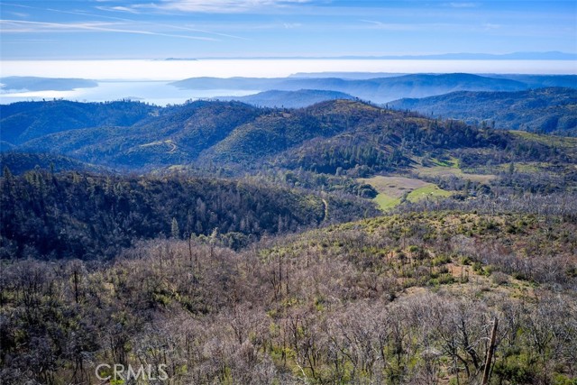 Detail Gallery Image 4 of 17 For 0 Big Ridge Rd, Berry Creek,  CA 95916 - – Beds | – Baths