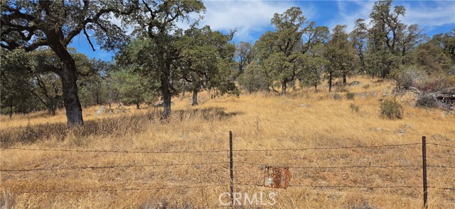 Front Image Thumbnail for CROR26208944