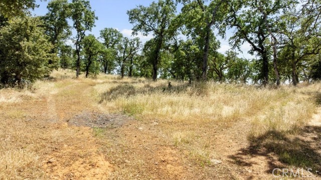 Detail Gallery Image 43 of 49 For 2588 Pinecrest Rd, Oroville,  CA 95966 - 4 Beds | 3 Baths