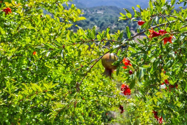 0 Via Herradura, Murrieta CA: https://media.crmls.org/medias/ac1675bb-044c-4992-b806-8e8f213b24c4.jpg
