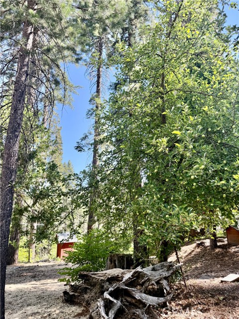 Detail Gallery Image 12 of 47 For 3502 Comet Mine, Mariposa,  CA 95338 - 3 Beds | 2 Baths