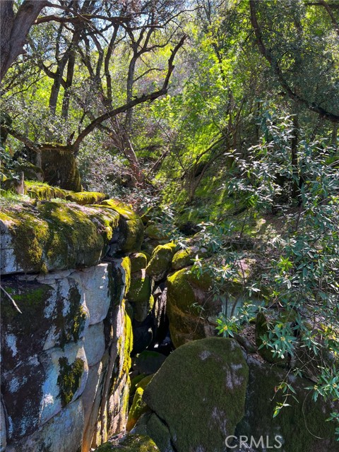 Detail Gallery Image 68 of 74 For 44981 Todd Eymann Rd, Miramonte,  CA 93641 - 1 Beds | 1 Baths