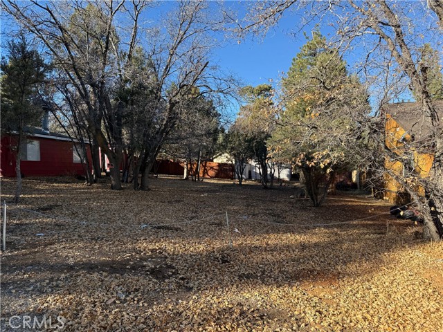 Detail Gallery Image 4 of 6 For 0 San Bernardino, Sugarloaf,  CA 92386 - – Beds | – Baths