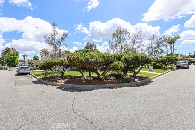 Front Image Thumbnail for CRPW26113575