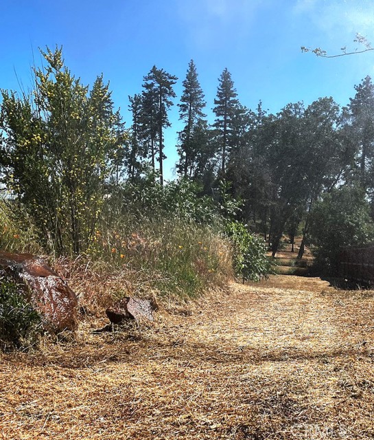 Front Image Thumbnail for CRPW26068515