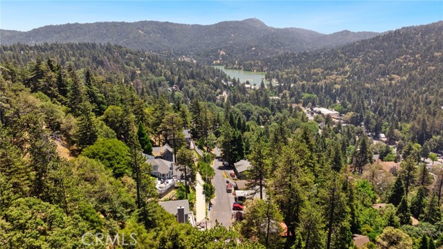 Detail Gallery Image 31 of 32 For 23700 Zurich Dr, Crestline,  CA 92325 - 3 Beds | 2 Baths