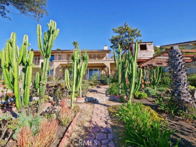 Backyard Garden with Succulents