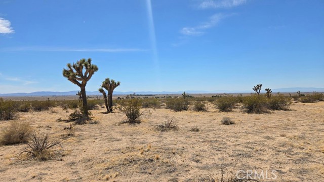 Image 5 of 21 For 0 147th St E Vicinity Capleton D