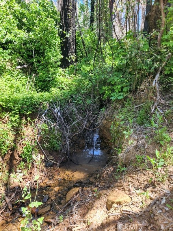 Image 18 of 44 For 11691 Oro Quincy Highway