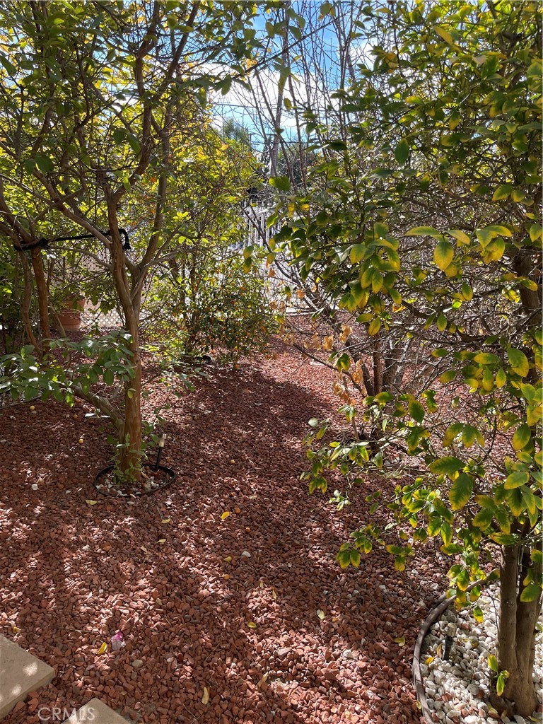 https://media.crmls.org/medias/ac2d5bea-5e71-49e4-b214-2ae63432d624.jpg?preset=X-Large