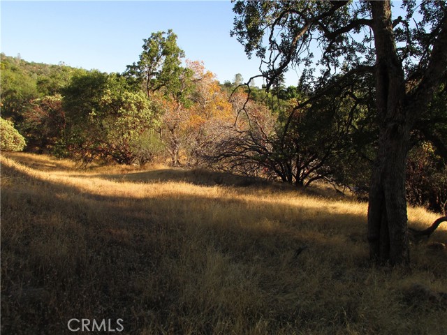 Detail Gallery Image 45 of 54 For 2 Ac Old Oaks Ct, North Fork,  CA 93643 - – Beds | – Baths