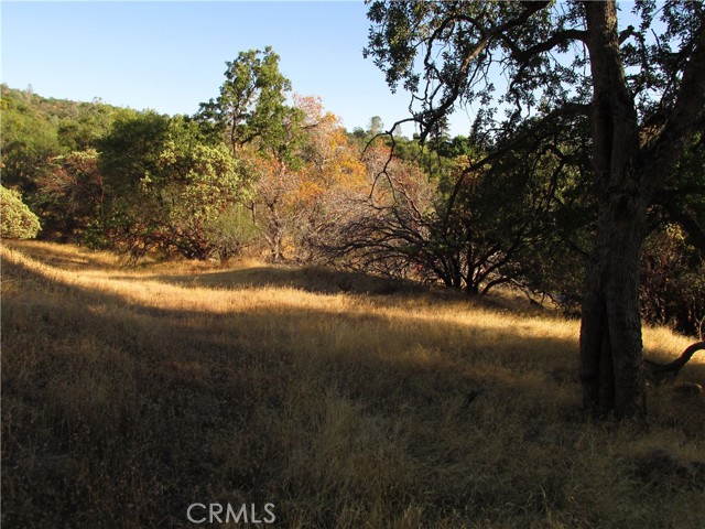 Detail Gallery Image 45 of 54 For 2 Ac Old Oaks Ct, North Fork,  CA 93643 - – Beds | – Baths