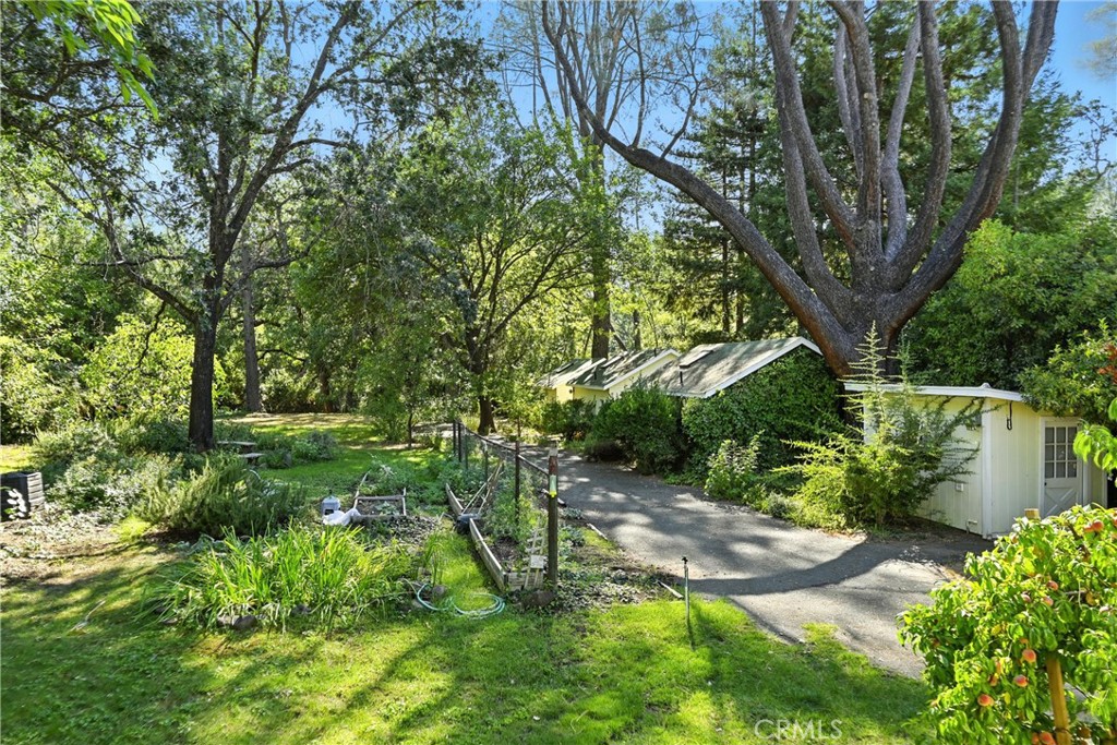 24019 Hilderbrand Drive