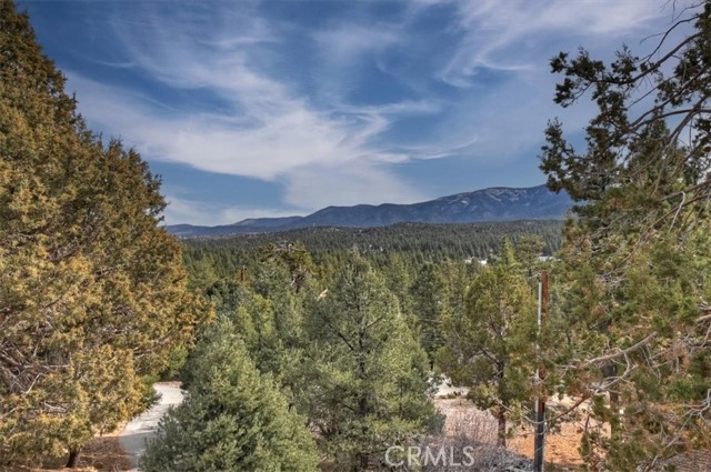 Detail Gallery Image 54 of 73 For 1051 Mound, Big Bear City,  CA 92314 - 4 Beds | 5 Baths