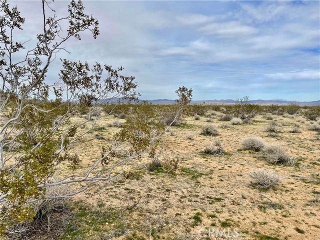 Detail Gallery Image 8 of 12 For 0 Willies Way, Joshua Tree,  CA 92285 - – Beds | – Baths