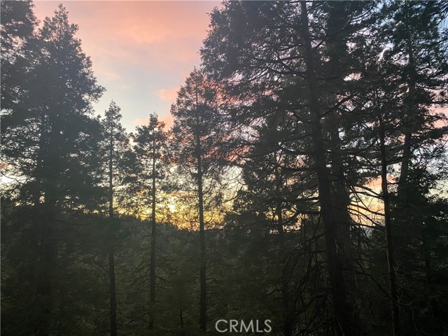 24792 Bernard Drive, Crestline CA: https://media.crmls.org/medias/ac4586c1-24fc-4556-8571-d275f7f6fd0e.jpg