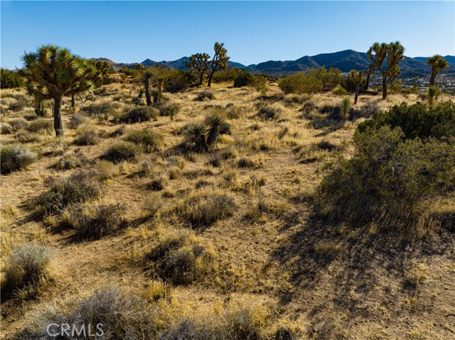 Detail Gallery Image 5 of 24 For 58980 Santa Barbara Dr, Yucca Valley,  CA 92284 - – Beds | – Baths