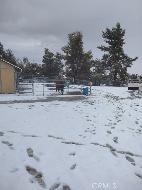 2390 Trinity Road, Pinon Hills CA: https://media.crmls.org/medias/ac50f41c-8853-415a-8076-3f3ae34f0d90.jpg