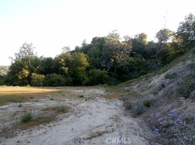 Detail Gallery Image 10 of 64 For 37 Lynx Ln, Prather,  CA 93651 - – Beds | – Baths