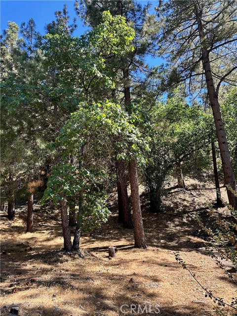 0 Heath Creek Drive, Wrightwood CA: https://media.crmls.org/medias/ac5a02c5-89cf-4557-aceb-ace5c09205e2.jpg