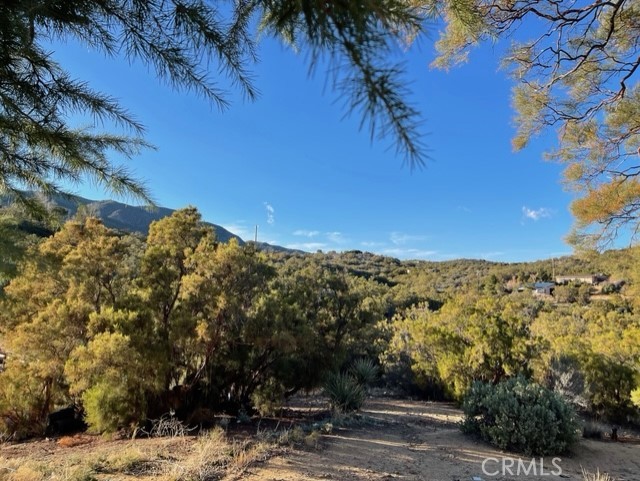 59521 Lafayette Road