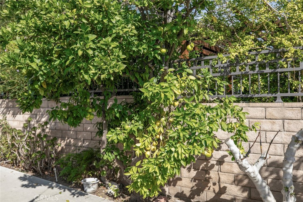 https://media.crmls.org/medias/ac646ec7-c2f5-4210-bfec-45190b9a73cd.jpg?preset=X-Large
