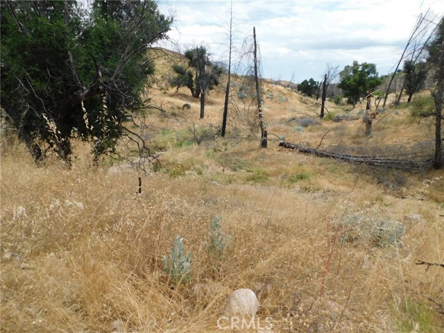 Detail Gallery Image 21 of 44 For 9890 Huer Huero Rd, Creston,  CA 93432 - – Beds | – Baths