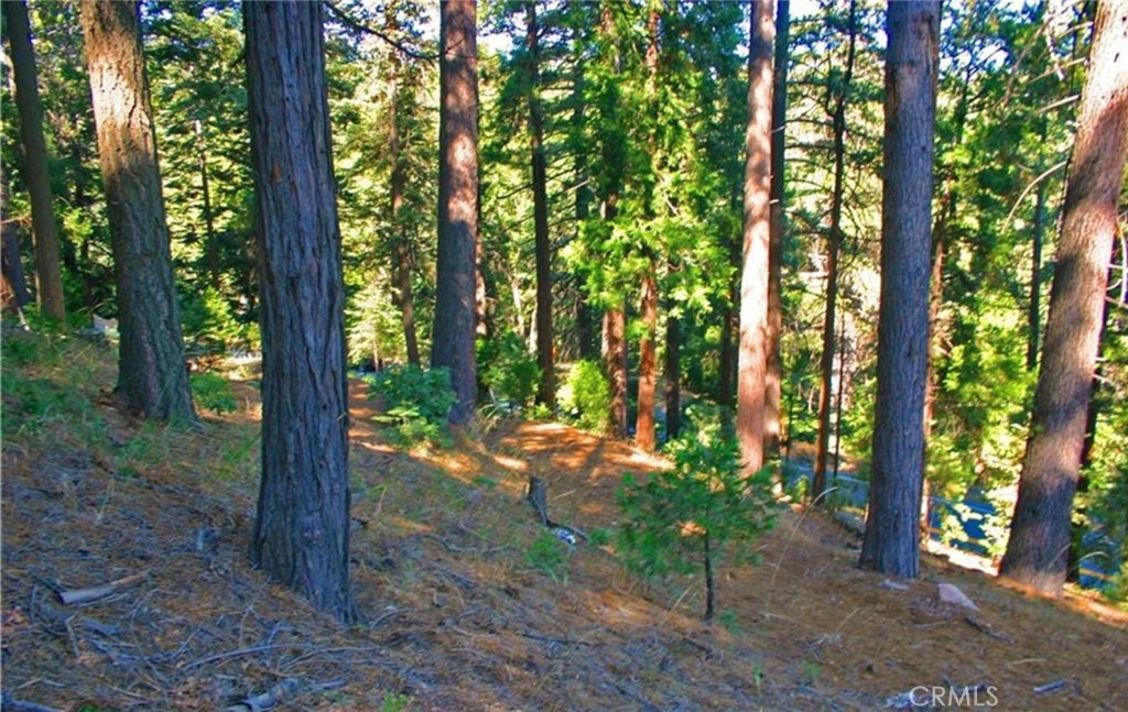 MLS #IG25271978 image #8