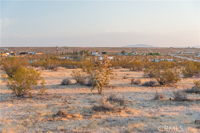 Detail Gallery Image 6 of 12 For 1800 Belmont St, Lot 44, Joshua Tree,  CA 92252 - – Beds | – Baths