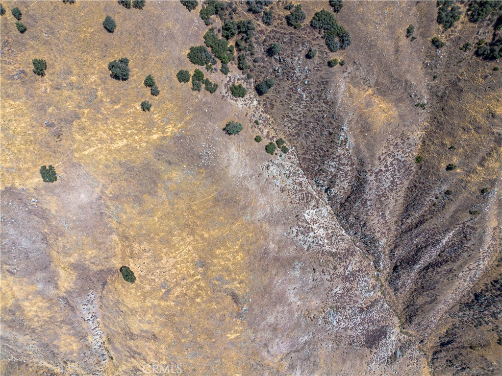 MLS #SR25172825 img 9