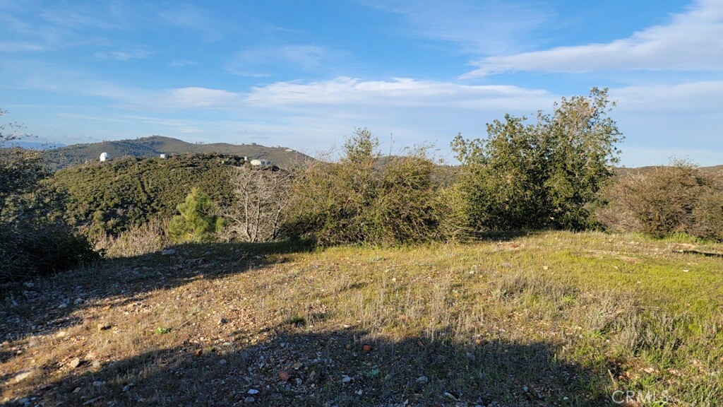 MLS #SW24069084 img 5