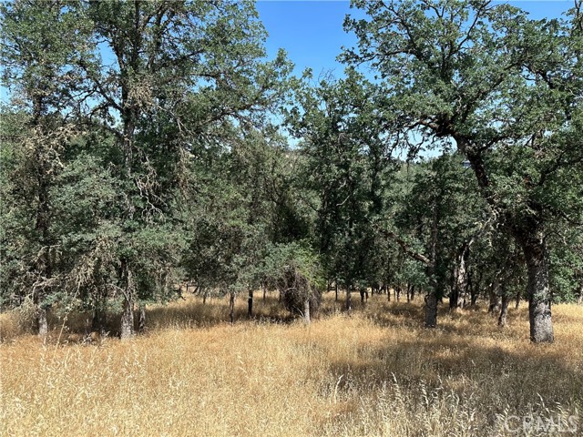 Opportunity Awaits at this 1/3 acre parcel with plenty of trees for shade and privacy! Wonderful court location with easy gate access. Located in the beautiful community of Hidden Valley Lake, just 20 miles north of Calistoga. Association Amenities include: parks, fishing piers, beaches, marina, clubhouse, pool, tennis, hiking trails, brand new pro shop + driving range, 18 hole championship golf course, new Greenview restaurant and more. Bring your plans, the good life awaits!