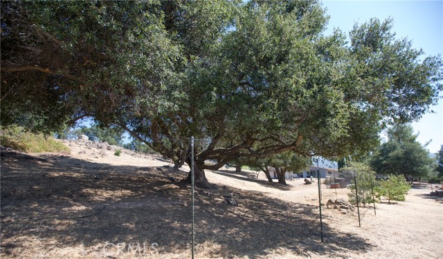 Detail Gallery Image 61 of 75 For 12145 Twin Springs Rd, Descanso,  CA 91916 - 4 Beds | 2 Baths