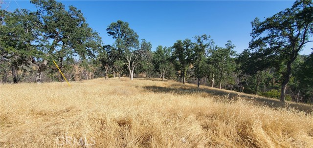 Detail Gallery Image 11 of 11 For 15687 Stagecoach, Corning,  CA 96021 - – Beds | – Baths