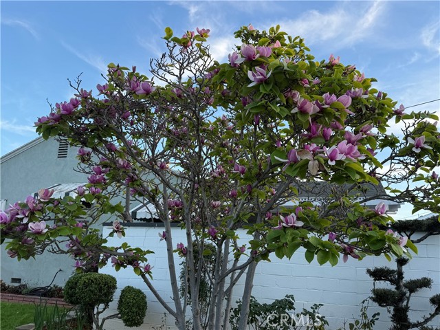 Detail Gallery Image 5 of 52 For 2001 Fernbank, Monterey Park,  CA 91754 - 2 Beds | 2 Baths