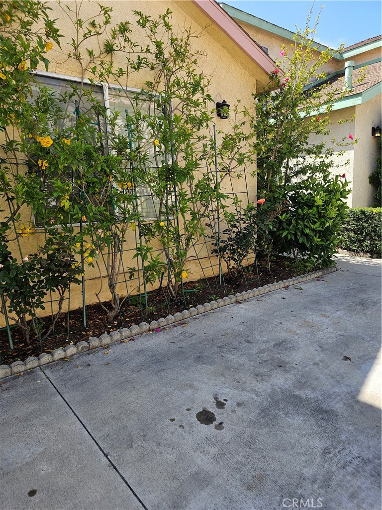 MLS #PI25104037 image #3