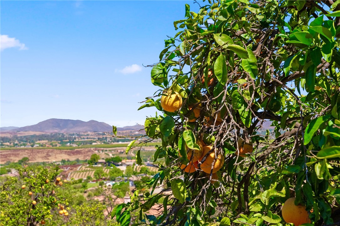 Detail Gallery Image 54 of 74 For 41705 Chaparral Drive, Temecula,  CA 92592 - 3 Beds | 2/1 Baths