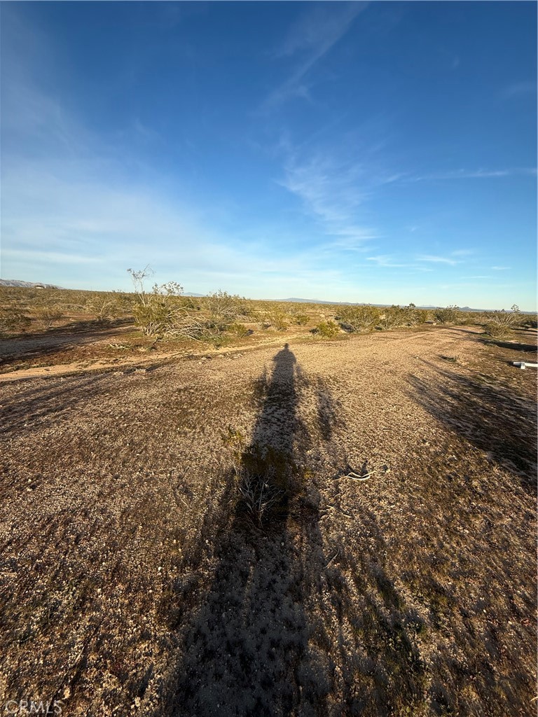 MLS #SR25271534 image #4