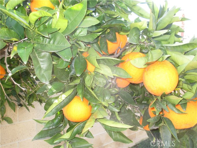 Detail Gallery Image 9 of 41 For 2281 Faust Ave, Long Beach,  CA 90815 - 3 Beds | 3 Baths