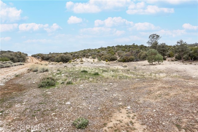 Detail Gallery Image 3 of 12 For 0 Umfalozi Rd, Tehachapi,  CA 93561 - – Beds | – Baths