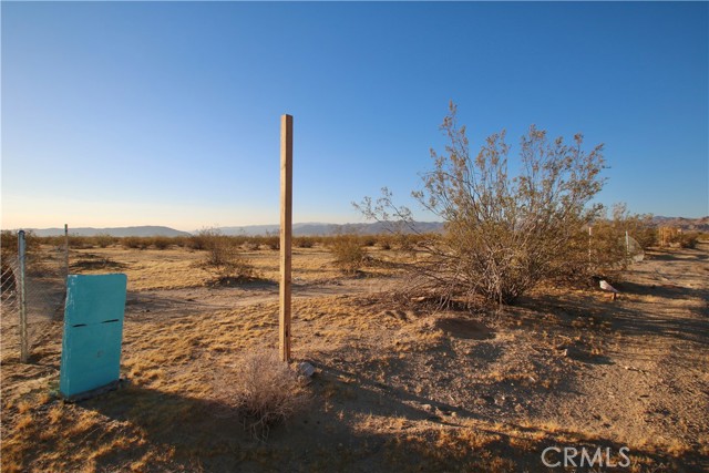 Detail Gallery Image 3 of 15 For 4594 Rice Ave, Joshua Tree,  CA 92252 - – Beds | – Baths