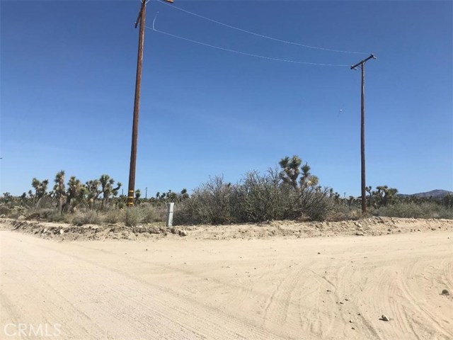 ponderosa, pinon hills, ca 92372