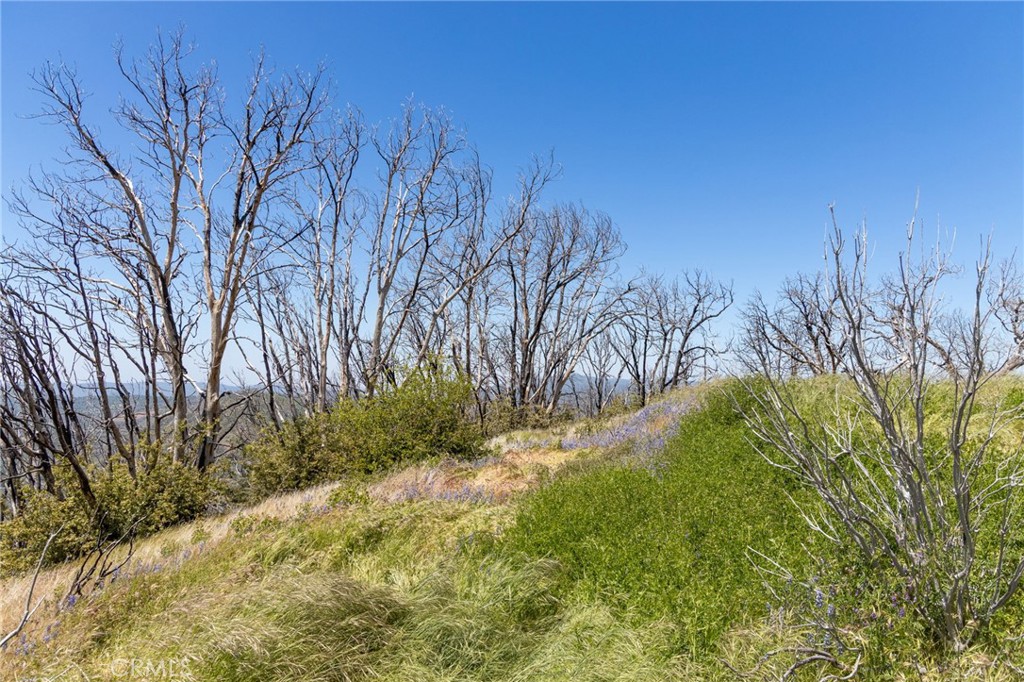 MLS #MP25088475 image #59
