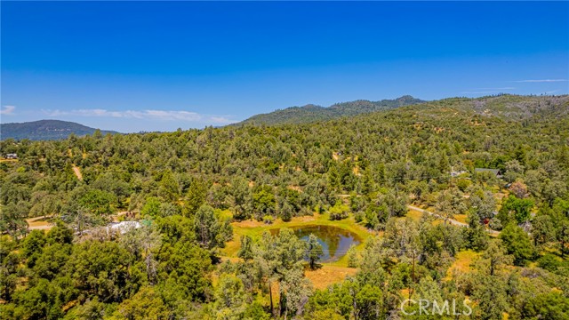 Detail Gallery Image 54 of 59 For 47457 Road 620, Oakhurst,  CA 93644 - 4 Beds | 3 Baths