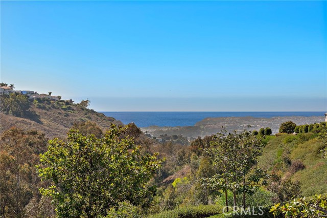 Detail Gallery Image 23 of 54 For 28102 Pacifica Del Mar, San Juan Capistrano,  CA 92675 - 5 Beds | 4/1 Baths