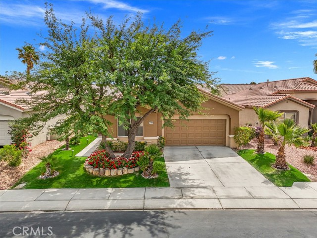 Detail Gallery Image 1 of 70 For 37388 Medjool, Palm Desert,  CA 92211 - 3 Beds | 3 Baths