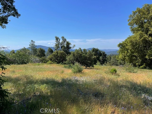 Detail Gallery Image 12 of 30 For 2964 Triangle Rd, Mariposa,  CA 95338 - – Beds | – Baths
