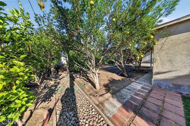 11407 Delano photo 41